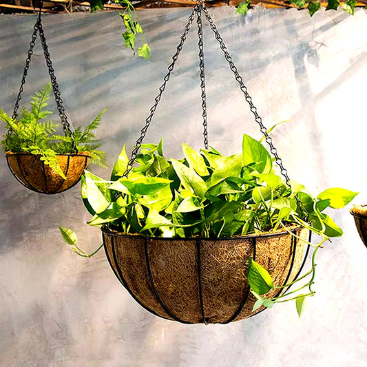 Coco Liner Hanging Planter