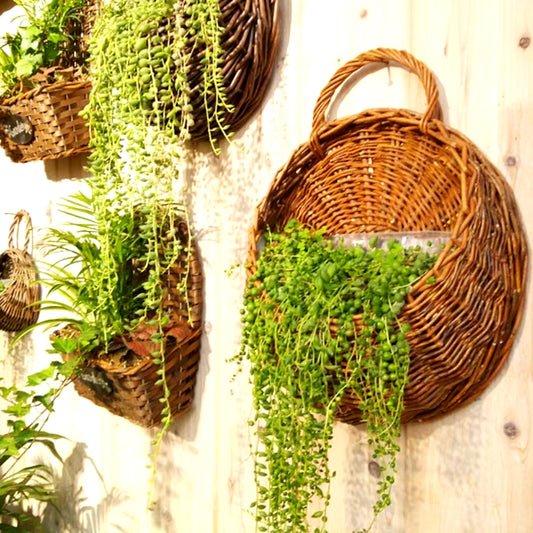 Rattan Wall Planter Basket