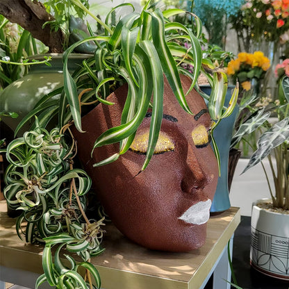 Wall Planter in the Shape of a Face